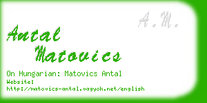 antal matovics business card